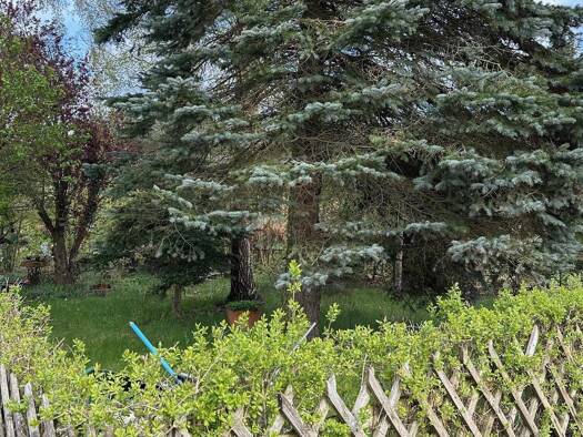 Grundstück zum Kauf 44.900 € 439 m² Grundstück Hanshagen 17509