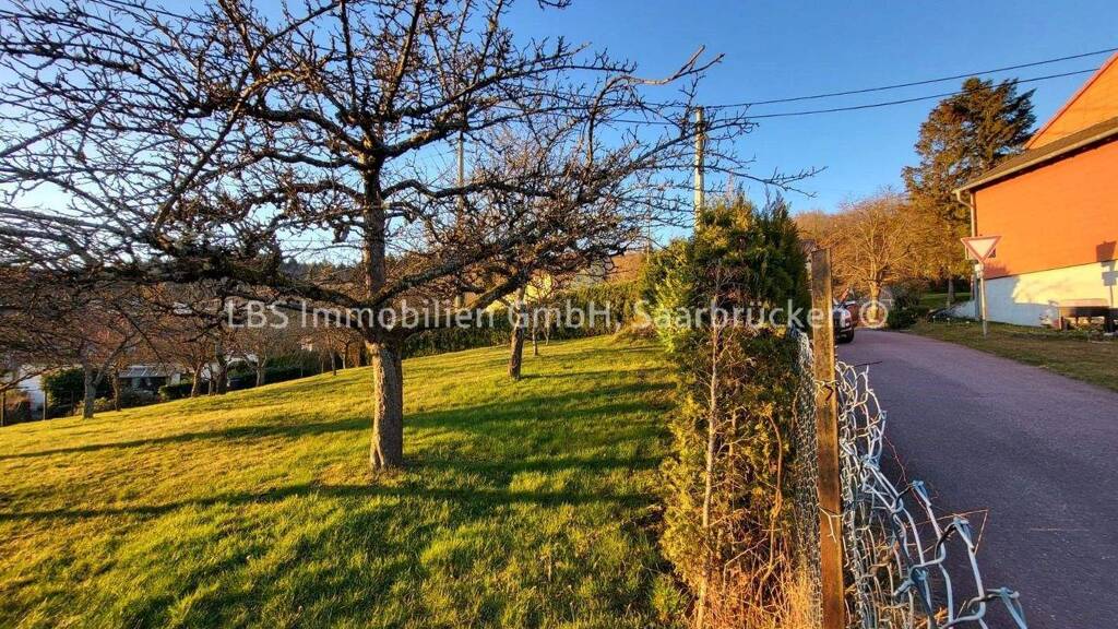 Grundstück zum Kauf 50.000 € 719 m² Grundstück frei ab sofort Steinberg Wadern 66687