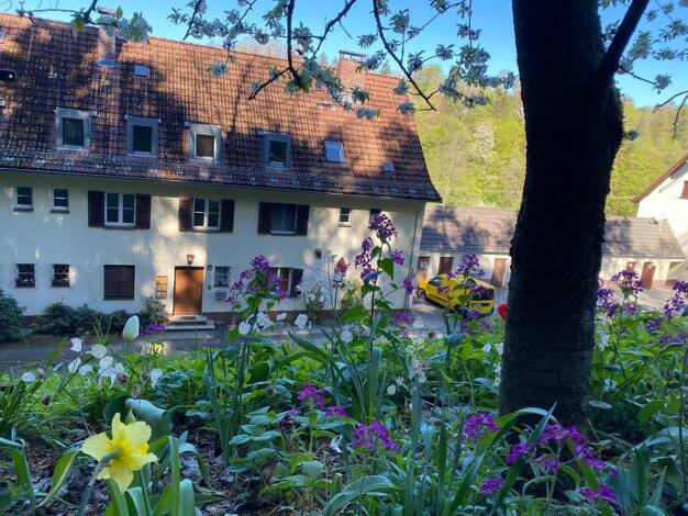 Wohnung zum Kauf 69.000 € 3 Zimmer 63 m² frei ab sofort Trausnitz Trausnitz 92555