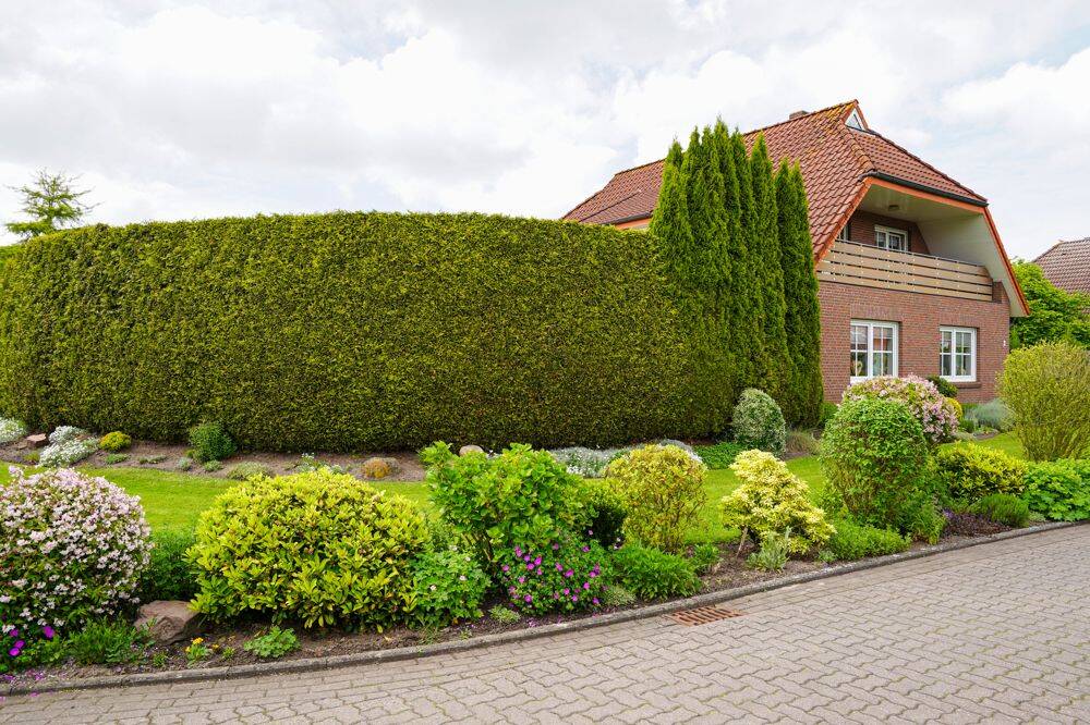 Haus – Bunde - Ansicht 2