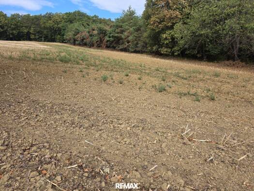 Land-/Forstwirtschaft zum Kauf 12.000 € 4.689 m² Grundstück Neuberg im Burgenland 7537