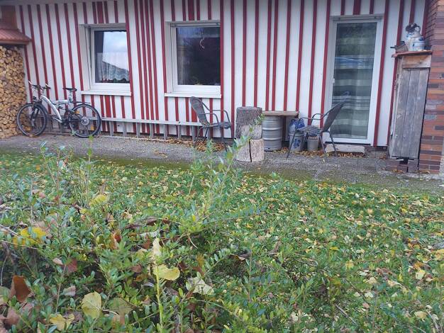 Wohnung zum Kauf 119.000 € 2 Zimmer 66,8 m² 1. Geschoss Burgsponheim 55595