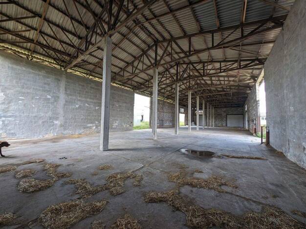 Land-/Forstwirtschaft zur Miete provisionsfrei 785 € Klossaer Straße 48 Klossa 06917