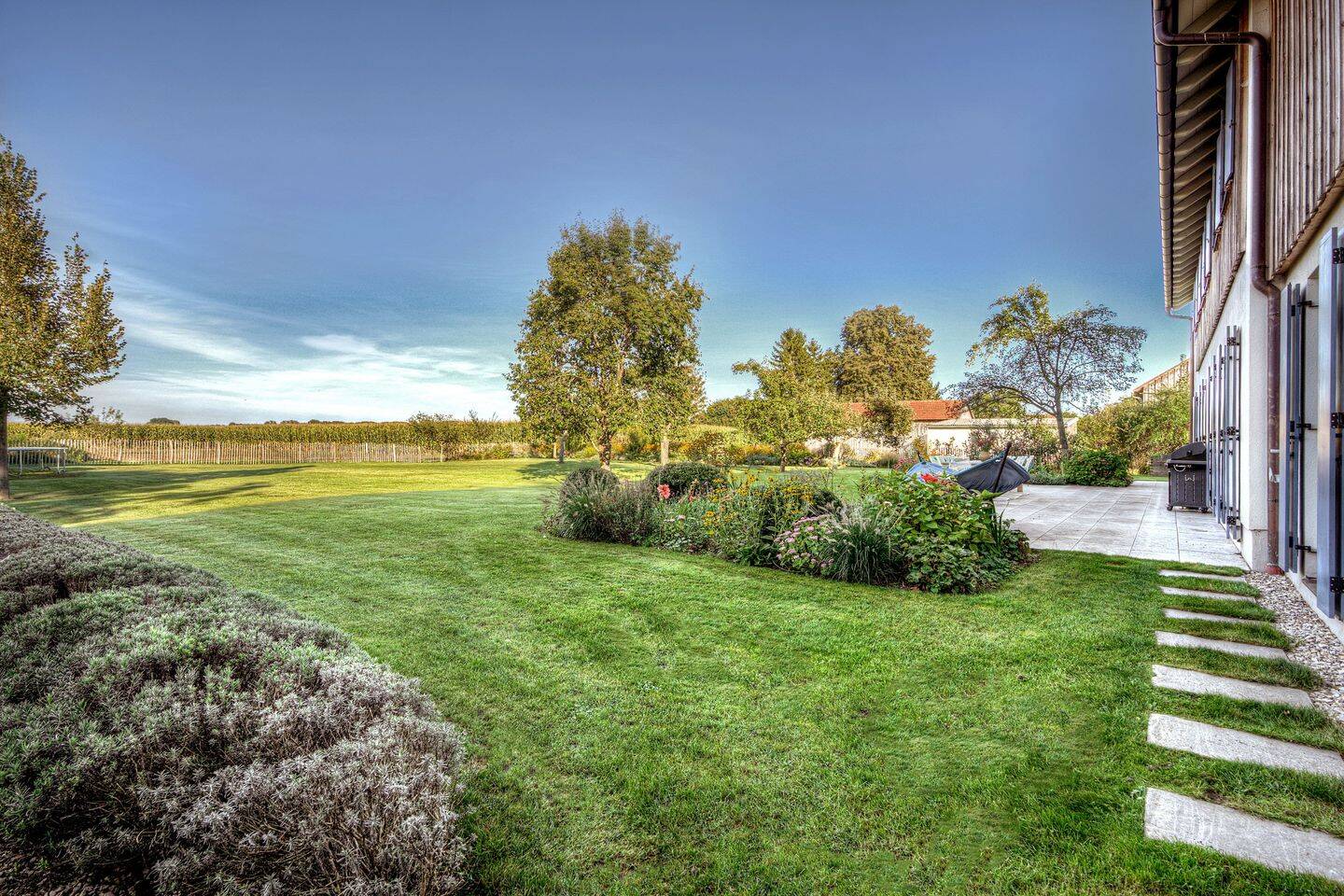 Property thumbnail 9