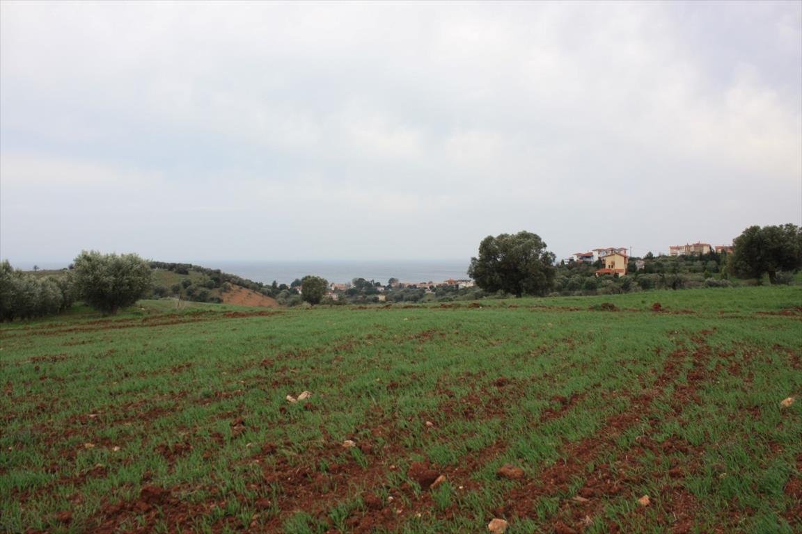 Land-/Forstwirtschaft zum Kauf 105.000 € 3.900 m²<br/>Grundstück Chalkidiki