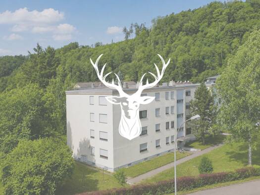 Wohnung zum Kauf 149.000 € 2 Zimmer 53 m² Geschoss 4/4 frei ab sofort Wutöschingen Wutöschingen 79793