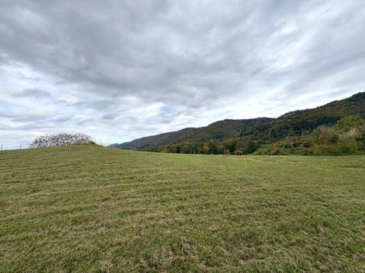 Grundstück zum Kauf 390.000 € 6.444 m² Grundstück Oberhaag 8454