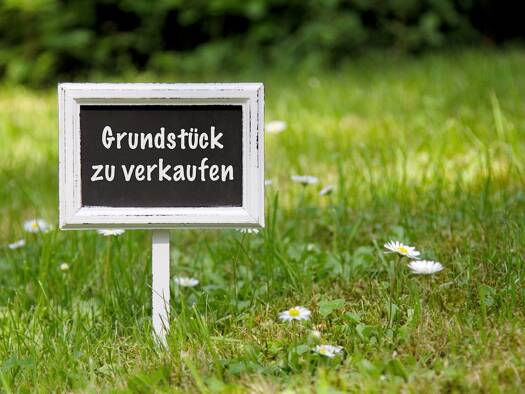 Grundstück zum Kauf 119.000 € 1.170 m² Grundstück Lützen Lützen 06686