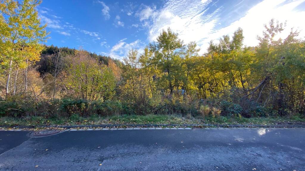 Grundstück zum Kauf 49.000 € 781 m² Grundstück Lohrhaupten Flörsbachtal 63639