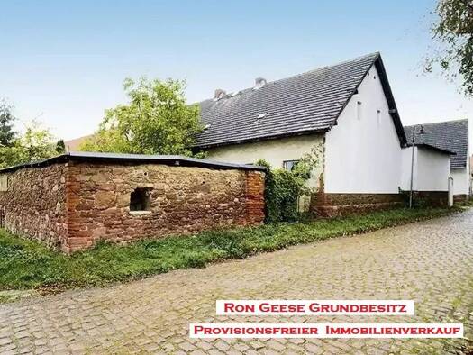 Mehrfamilienhaus zum Kauf provisionsfrei 49.900 € 8 Zimmer 300 m² 713 m² Grundstück frei ab sofort Domnitz Wettin-Löbejün 06193