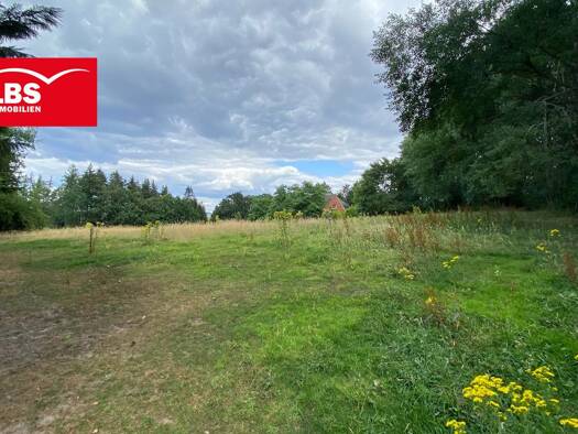 Land-/Forstwirtschaft zum Kauf 65.000 € 15.654 m² Grundstück Riesenbeck Hörstel 48477