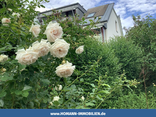 Doppelhaushälfte zum Kauf 4 Zimmer 136 m² 459 m² Grundstück Nottuln Nottuln 48301
