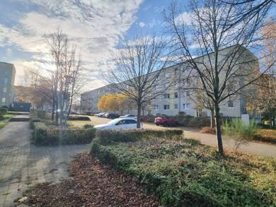 Wohnung zur Miete 379 € 2 Zimmer 50 m² frei ab 01.08.2025 Am Volkskulturpark 28 Pasewalk Pasewalk 17309