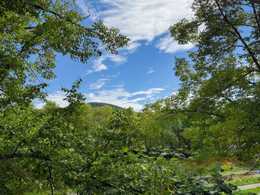 Terrassenwohnung zum Kauf 328.000 € 3 Zimmer 107 m² 1. Geschoss Bad Neuenahr Bad Neuenahr-Ahrweiler 53474