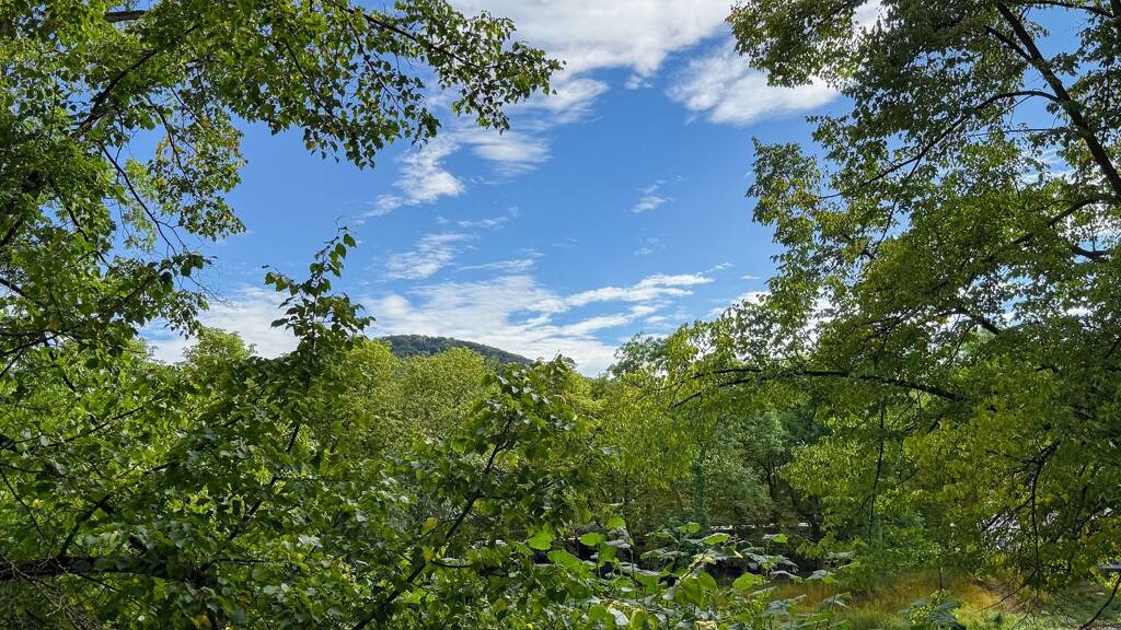 Terrassenwohnung zum Kauf 328.000 € 3 Zimmer 107 m² 1. Geschoss Bad Neuenahr Bad Neuenahr-Ahrweiler 53474