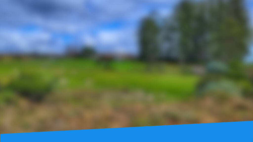 Land-/Forstwirtschaft zum Kauf 47.630 € 45.991 m² Grundstück Großsaara Saara 07589