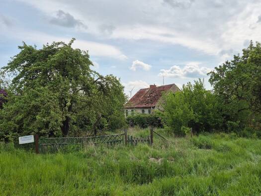 Bauernhaus zum Kauf 89.000 € 2 Zimmer 60 m² 2.226 m² Grundstück frei ab sofort Kleinow Uckerfelde 17291