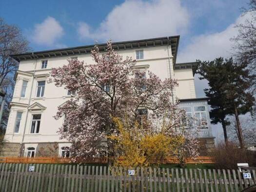 Wohnung zur Miete 238 € 2 Zimmer 47,6 m² frei ab 01.10.2026 Crimmitschauer Straße 34 c Werdau Werdau 08412