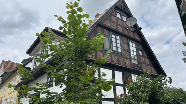 Einfamilienhaus zum Kauf 325.000 € 6 Zimmer 130 m² 844 m² Grundstück Buer Melle 49328