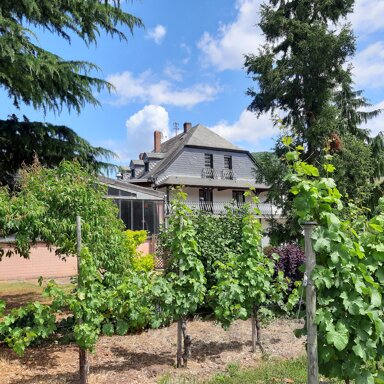 Weingut zum Kauf 3.650 m² Grundstück Leiwen 54340