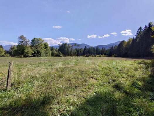 Land-/Forstwirtschaft zum Kauf 68.000 € 15.825 m² Grundstück Oberschütt Villach 9587