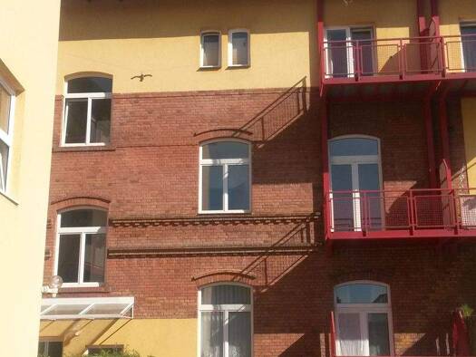 Wohnung zur Miete 215 € 30 m² frei ab 01.03.2026 Ludwigstraße 6 Gotha 99867