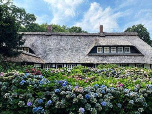 Bauernhaus zum Kauf provisionsfrei 2.400.000 € 12 Zimmer 700 m² 142.504 m² Grundstück Wildeshausen 27793