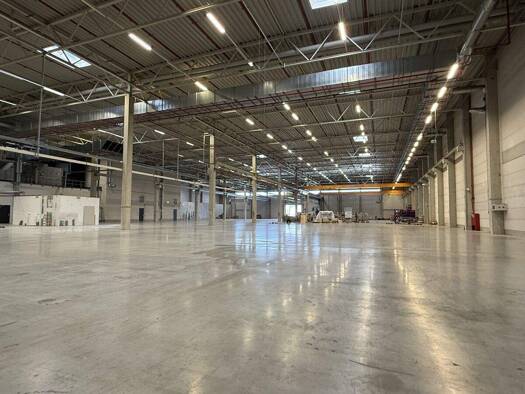 Lagerhalle zur Miete provisionsfrei 37.927 € 7.373,2 m² Lagerfläche teilbar ab 3.000 m² Dreye Weyhe 28844