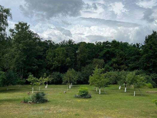 Grundstück zum Kauf 758 m² Grundstück Rehagen Am Mellensee 15838