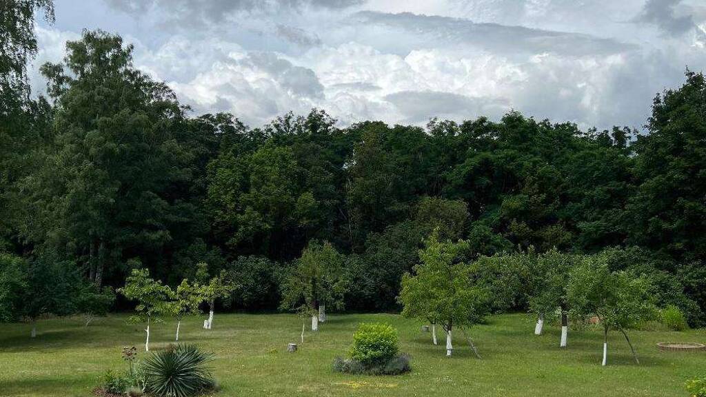 Grundstück zum Kauf 758 m² Grundstück Rehagen Am Mellensee 15838