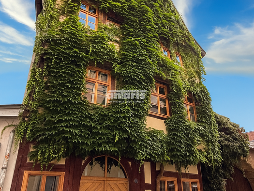 Ladenfläche zum Kauf 220.000 € Altstadt Erfurt 99084