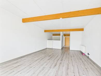 Wohnung zur Miete 450 € 1,5 Zimmer 57 m² Lindenallee Schenkenberg Delitzsch 04509