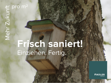 Wohnung zur Miete 290 € 1 Zimmer 36,2 m² 3. Geschoss Beethovenstraße 17 Rheinhausen - Mitte Duisburg 47226