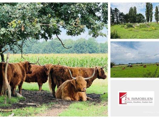 Bauernhof zum Kauf 270.000 € 55.000 m² Grundstück Seelow 15306