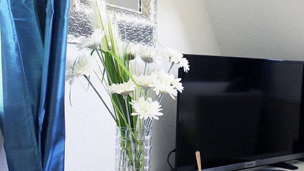 Studio zur Miete 480 € 1 Zimmer 24 m² 1. Geschoss Berlichingenstraße Zazenhausen Stuttgart 70537