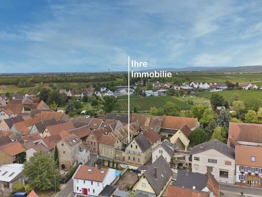Bauernhaus zum Kauf 445.000 € 6 Zimmer 358 m² 1.953 m² Grundstück Flörsheim-Dalsheim 67592