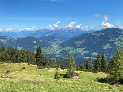 Gastronomie/Hotel zum Kauf provisionsfrei Wildschönau 6311