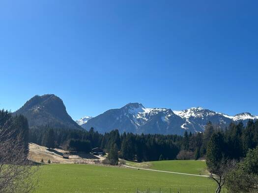 Grundstück zum Kauf 450.000 € 1.035 m² Grundstück Breitenwang 6600