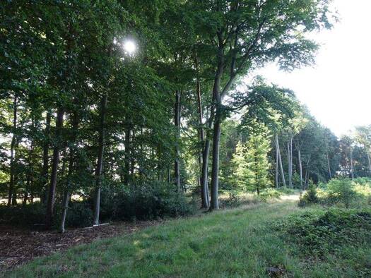 Land-/Forstwirtschaft zum Kauf Wietzen 31613