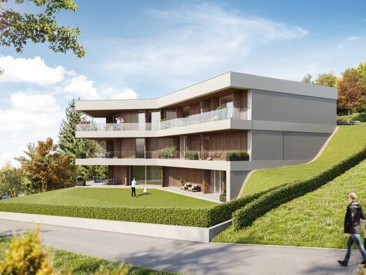 Penthouse zum Kauf provisionsfrei 244 m² 2. Geschoss frei ab sofort Bregenz 6900