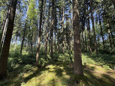 Land-/Forstwirtschaft zum Kauf 158.400 € Langenhettenbach Ergoldsbach-Langenhettenbach 84061