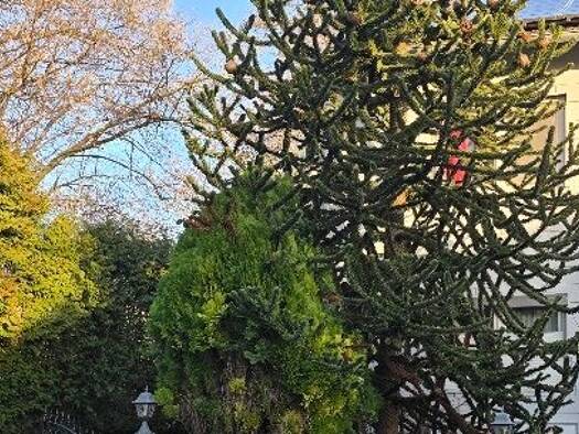 Terrassenwohnung zur Miete 500 € 2 Zimmer 58 m² Geschoss 1/2 frei ab sofort Klarastraße 11 Lütgendortmund Dortmund 44388