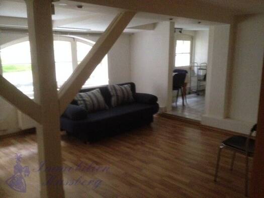 Wohnung zur Miete 295 € 1,5 Zimmer 40 m² EG Innenstadt Detmold 32756