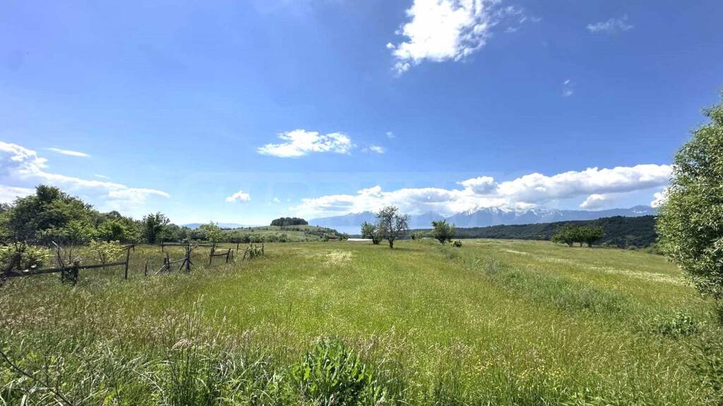 Land-/Forstwirtschaft zum Kauf 124.200 € Dobarsko