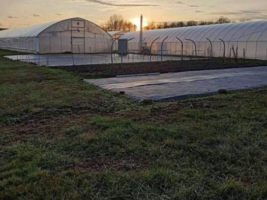 Grundstück zum Kauf 67.500 € 7.325 m² Grundstück Nagykanizsa 8800