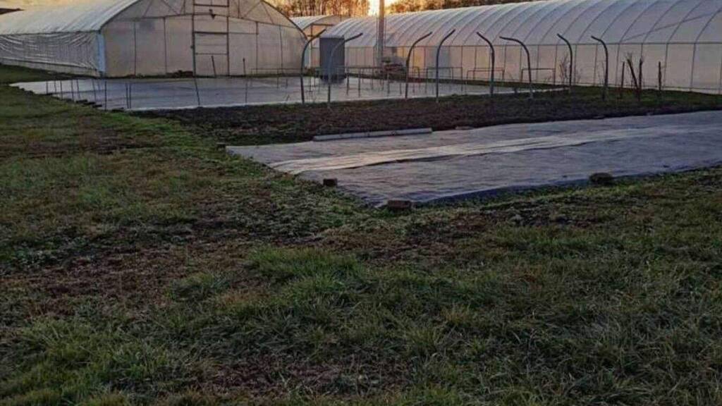 Grundstück zum Kauf 67.500 € 7.325 m² Grundstück Nagykanizsa 8800