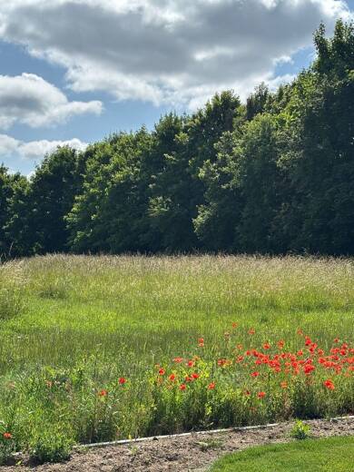 Grundstück zum Kauf 420.000 € 1.100 m² Grundstück Niederwerrn Niederwerrn 97464
