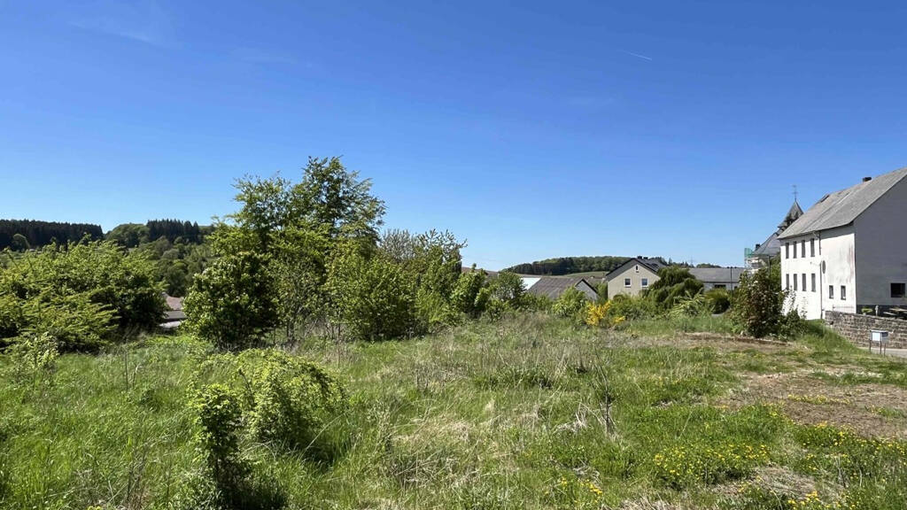 Grundstück zum Kauf 36.300 € 1.100 m² Grundstück Kirchweiler 54570