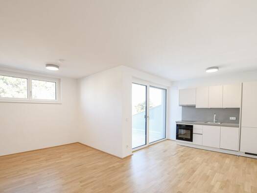 Wohnung zur Miete - Erstbezug 1.026 € 1,5 Zimmer 51,8 m² EG frei ab sofort Wien 1190