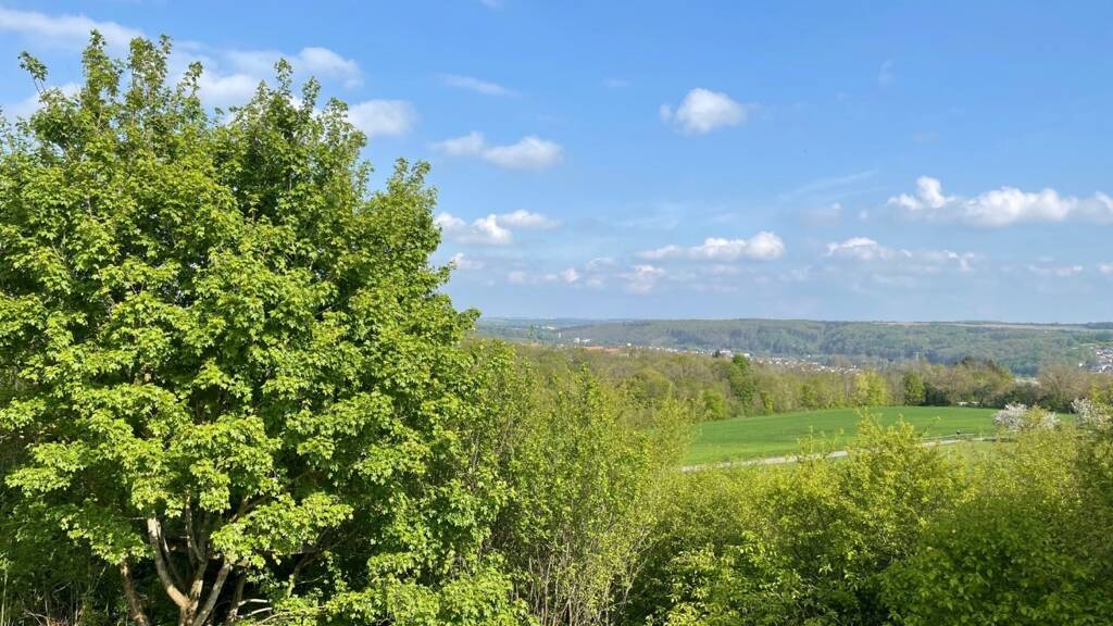 Grundstück zum Kauf 50.000 € 721 m² Grundstück Pirmasenser Straße 8 Schmitshausen 66484